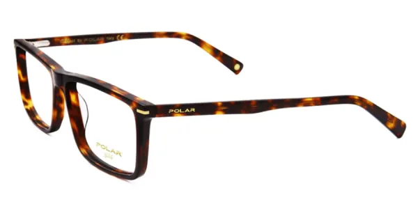 POLAR Gold 10 428