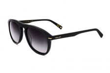 POLAR Gold 101 77/F
