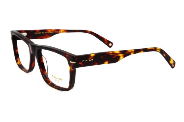 POLAR Gold 13 428